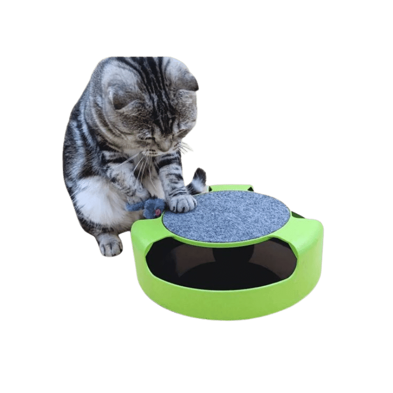 Brinquedo interativo para gatos com arranhador - Conforto Dos Patudos