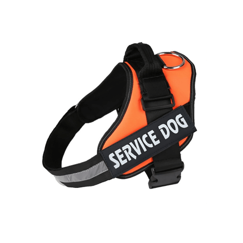 Peitoral/Coleira Arnês Service Dog Laranja - Conforto Dos Patudos