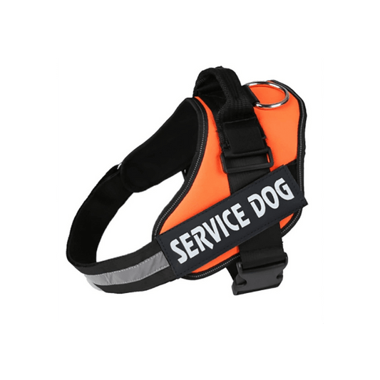 Peitoral/Coleira Arnês Service Dog Laranja - Conforto Dos Patudos