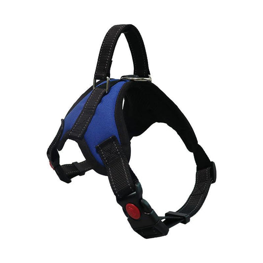 Peitoral/Coleira arnês Azul - Conforto Dos Patudos