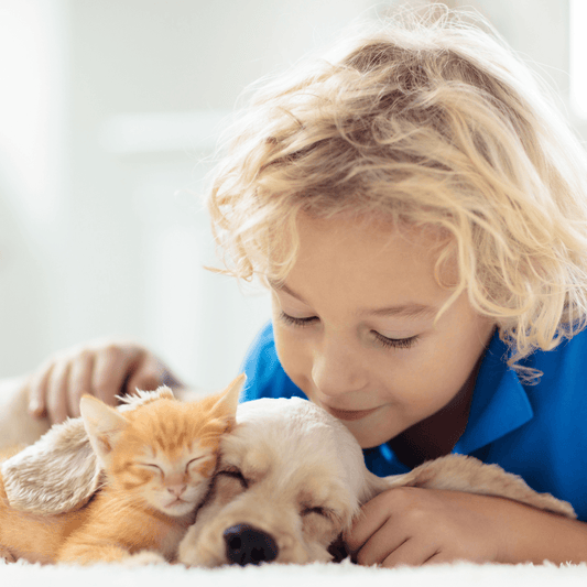 Os Benefícios do Convívio com Animais de Estimação para Crianças - Conforto Dos Patudos