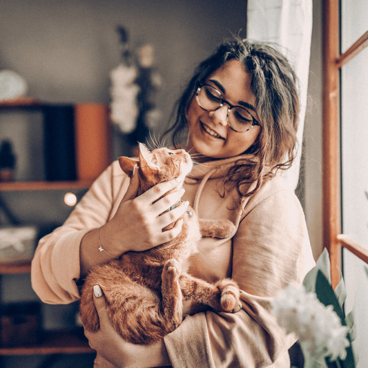 O Papel Terapêutico dos Gatos na Depressão e Ansiedade - Conforto Dos Patudos