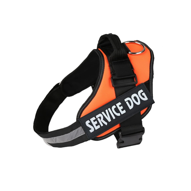 Peitoral/Coleira Arnês Service Dog Laranja - Conforto Dos Patudos